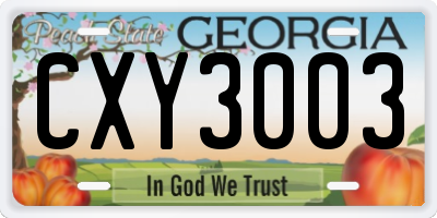 GA license plate CXY3003