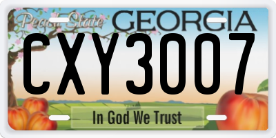 GA license plate CXY3007