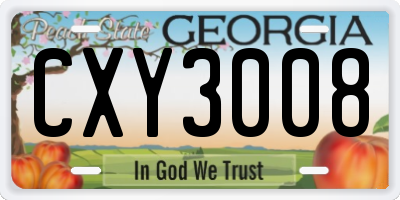 GA license plate CXY3008