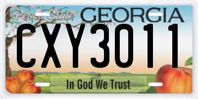 GA license plate CXY3011