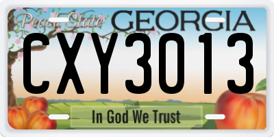 GA license plate CXY3013