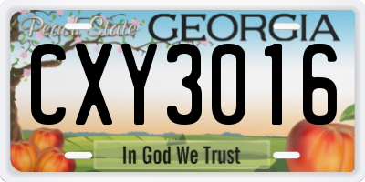GA license plate CXY3016