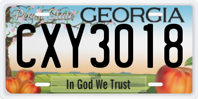 GA license plate CXY3018