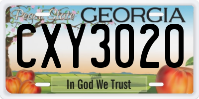 GA license plate CXY3020