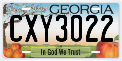 GA license plate CXY3022