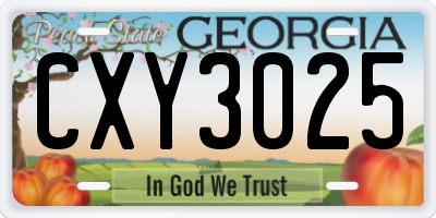 GA license plate CXY3025