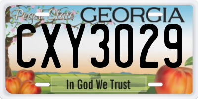 GA license plate CXY3029
