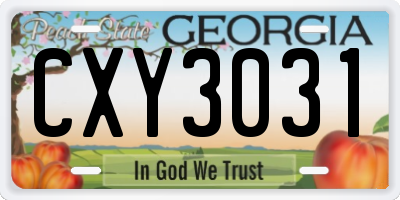 GA license plate CXY3031