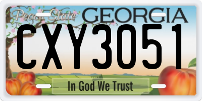 GA license plate CXY3051