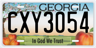 GA license plate CXY3054