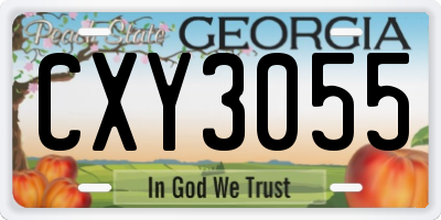 GA license plate CXY3055
