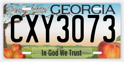 GA license plate CXY3073