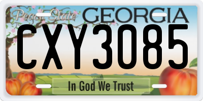 GA license plate CXY3085