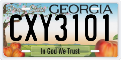 GA license plate CXY3101