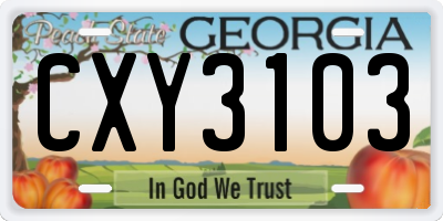 GA license plate CXY3103