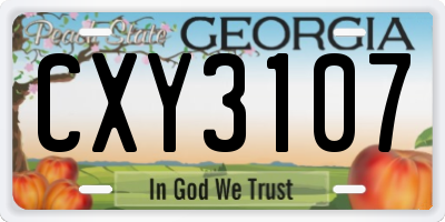 GA license plate CXY3107