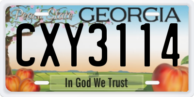 GA license plate CXY3114