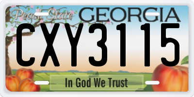 GA license plate CXY3115