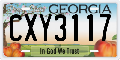 GA license plate CXY3117