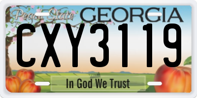 GA license plate CXY3119
