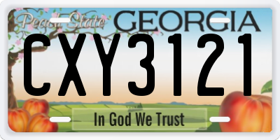 GA license plate CXY3121