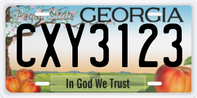 GA license plate CXY3123