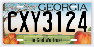 GA license plate CXY3124