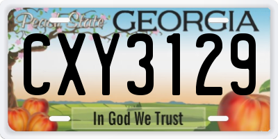 GA license plate CXY3129