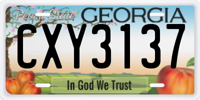 GA license plate CXY3137