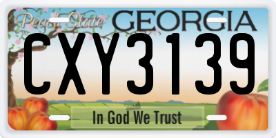 GA license plate CXY3139