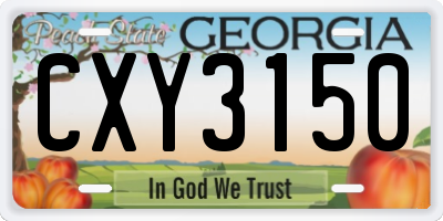 GA license plate CXY3150