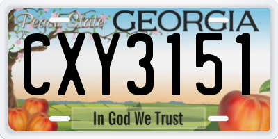 GA license plate CXY3151