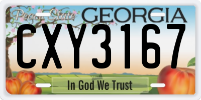 GA license plate CXY3167