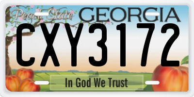 GA license plate CXY3172