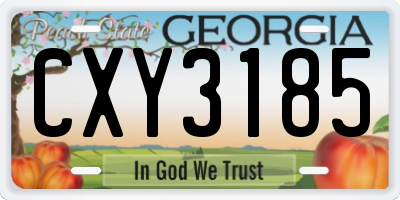GA license plate CXY3185