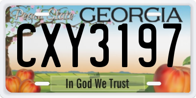 GA license plate CXY3197