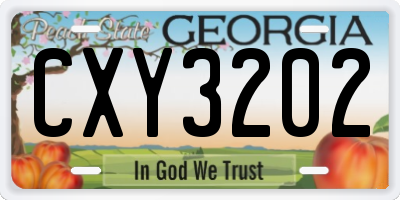 GA license plate CXY3202