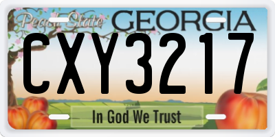 GA license plate CXY3217