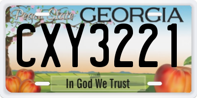 GA license plate CXY3221