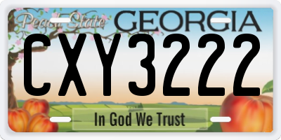 GA license plate CXY3222