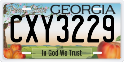 GA license plate CXY3229