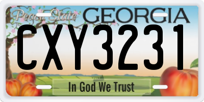 GA license plate CXY3231