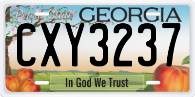 GA license plate CXY3237