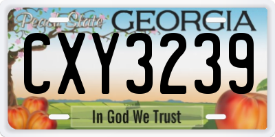 GA license plate CXY3239
