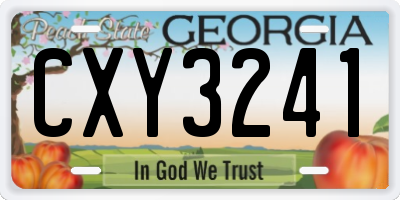 GA license plate CXY3241
