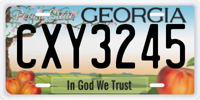 GA license plate CXY3245