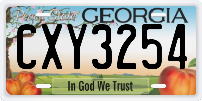 GA license plate CXY3254