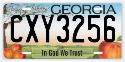 GA license plate CXY3256