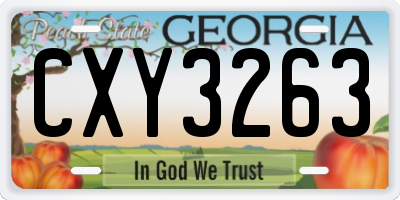 GA license plate CXY3263