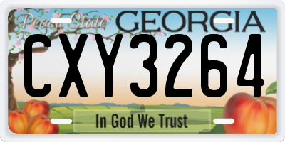 GA license plate CXY3264